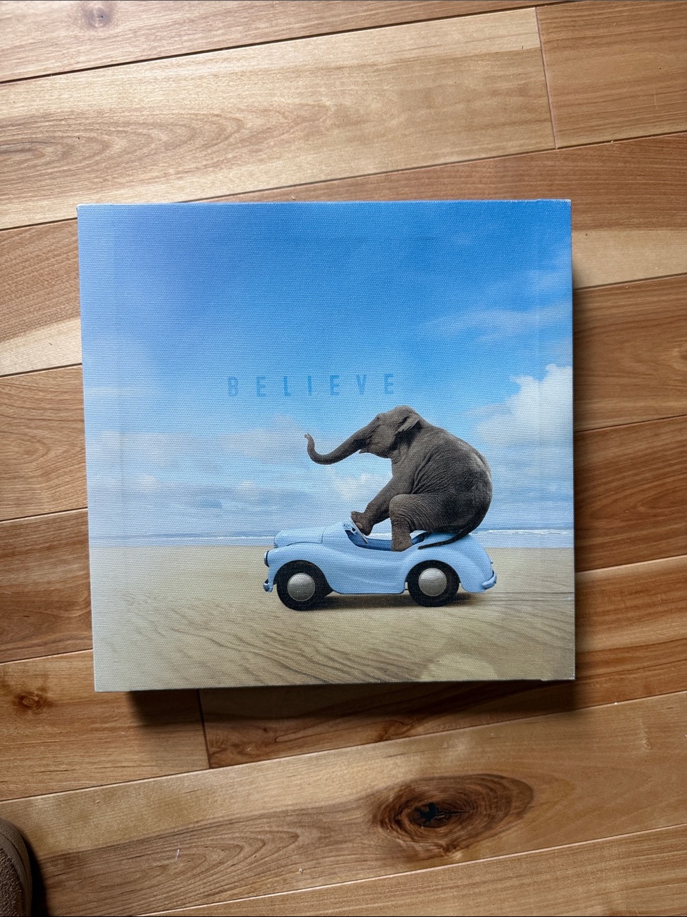 Believe Elephant Canvas Wall Art - Blue